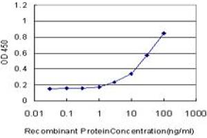 Detection limit for recombinant GST tagged NHLH2 is approximately 1ng/ml as a capture antibody. (NHLH2 anticorps  (AA 36-135))