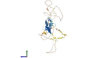 AlphaFold protein structure predicition of Human Recombinant LCP2 Protein, UniprotID Q13094