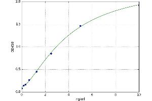 A typical standard curve