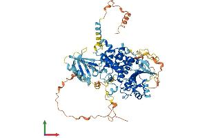 AlphaFold protein structure predicition of Human Recombinant MTMR11 Protein, UniprotID A4FU01