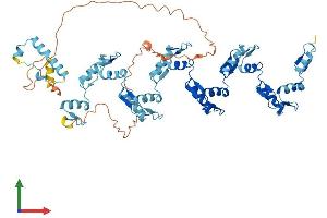 AlphaFold protein structure predicition of Human Recombinant ZNF599 Protein, UniprotID Q96NL3