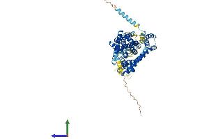 AlphaFold protein structure predicition of Human Recombinant SLC1A3 Protein, UniprotID P43003