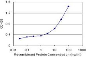 Sandwich ELISA detection sensitivity ranging from 10 ng/mL to 100 ng/mL. (RGS5 (Humain) Matched Antibody Pair)