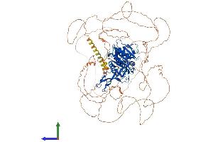AlphaFold protein structure predicition of Mouse Recombinant Usp53 Protein, UniprotID P15975
