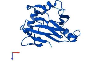 AlphaFold protein structure predicition of Mouse Recombinant Adi1 Protein, UniprotID Q99JT9