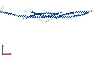 AlphaFold protein structure predicition of Mouse Recombinant Tekt1 Protein, UniprotID Q9DAJ2