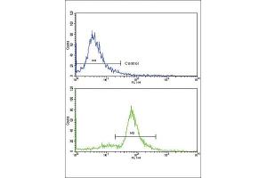 Flow Cytometry (FACS) image for anti-Methylcrotonoyl-CoA Carboxylase 2 (Beta) (MCCC2) antibody (ABIN3002883)