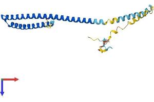 AlphaFold protein structure predicition of Human Recombinant CHMP5 Protein, UniprotID Q9NZZ3