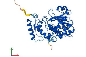 AlphaFold protein structure predicition of Mouse Recombinant Ttpa Protein, UniprotID Q8BWP5