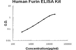Human Furin Accusignal ELISA Kit Human Furin AccuSignal ELISA Kit standard curve.