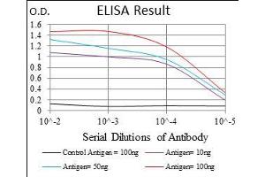 Black line: Control Antigen (100 ng), Purple line: Antigen(10 ng), Blue line: Antigen (50 ng), Red line: Antigen (100 ng), (MCAM anticorps  (AA 84-189))