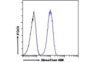 (ABIN570758) Flow cytometric analysis of paraformaldehyde fixed HeLa cells (blue line), permeabilized with 0. (SMC5 anticorps  (Internal Region))