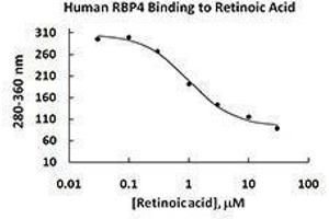 ELISA image for Retinol Binding Protein 4, Plasma (RBP4) (AA 19-201), (C-Term) (Active) protein (ABIN2666743)