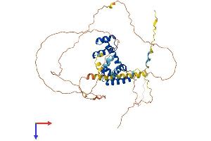 AlphaFold protein structure predicition of Mouse Recombinant Pou3f1 Protein, UniprotID P21952