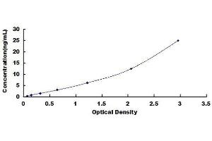 ELISA image for Complement Component 3 (C3) ELISA Kit (ABIN1568709)