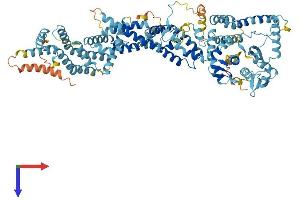 AlphaFold protein structure predicition of Mouse Recombinant Anapc2 Protein, UniprotID Q8BZQ7
