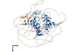 AlphaFold protein structure predicition of Human Recombinant EHMT1 Protein, UniprotID Q9H9B1