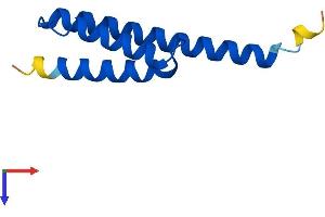 AlphaFold protein structure predicition of Human Recombinant ETFRF1 Protein, UniprotID Q6IPR1