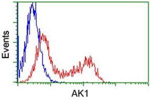 Flow Cytometry (FACS) image for anti-Adenylate Kinase 1 (AK1) antibody (ABIN1496515) (Adenylate Kinase 1 anticorps)