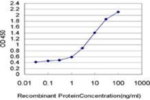 Detection limit for recombinant GST tagged XPC is approximately 0.