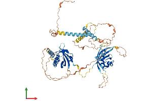 AlphaFold protein structure predicition of Mouse Recombinant Bmal2 Protein, UniprotID Q2VPD4