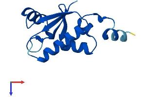 AlphaFold protein structure predicition of Human Recombinant SH3BGRL Protein, UniprotID O75368