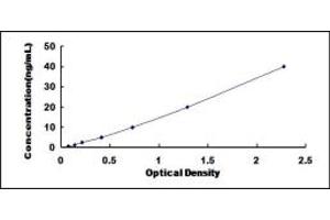 Typical standard curve (SDC3 Kit ELISA)
