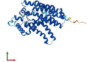 AlphaFold protein structure predicition of Human Recombinant G6PC3 Protein, UniprotID Q9BUM1