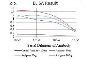 Black line: Control Antigen (100 ng), Purple line: Antigen(10 ng), Blue line: Antigen (50 ng), Red line: Antigen (100 ng),