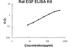 Rat EGF Accusignal ELISA Kit Rat EGF AccuSignal ELISA Kit standard curve. (EGF Kit ELISA)