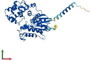 AlphaFold protein structure predicition of Mouse Recombinant Gna14 Protein, UniprotID P30677