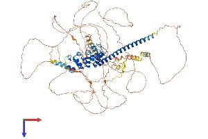 AlphaFold protein structure predicition of Human Recombinant SNCAIP Protein, UniprotID Q9Y6H5