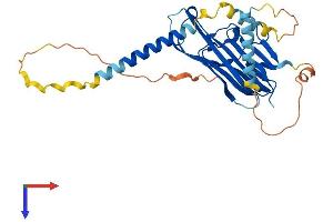 AlphaFold protein structure predicition of Mouse Recombinant Tnfsf11 Protein, UniprotID O35235