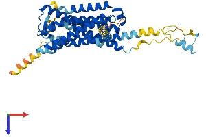 AlphaFold protein structure predicition of Human Recombinant GPR85 Protein, UniprotID P60893