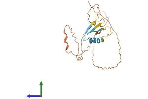 AlphaFold protein structure predicition of Human Recombinant CTAG2 Protein, UniprotID O75638