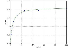 Calpain 6 (CAPN6) ELISA Kit