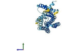 AlphaFold protein structure predicition of Human Recombinant OR12D2 Protein, UniprotID P58182