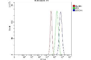 Flow Cytometry analysis of U87 cells using anti-DDB2 antibody (ABIN7599601).