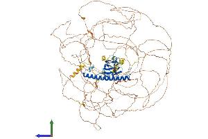 AlphaFold protein structure predicition of Human Recombinant RAB11FIP1 Protein, UniprotID Q6WKZ4