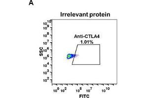Expi 293 cell line transfected with irrelevant protein  (A) and human C  (B) were surface stained with Rabbit anti-C monoclonal antibody 1 μg/mL (clone: DM50) followed by Alexa 488-conjugated anti-rabbit IgG secondary antibody.