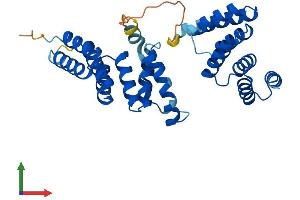 AlphaFold protein structure predicition of Mouse Recombinant Tomm34 Protein, UniprotID Q9CYG7