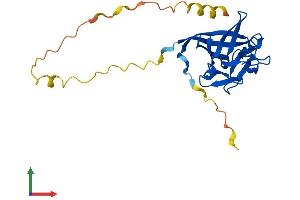 AlphaFold protein structure predicition of Human Recombinant FGF11 Protein, UniprotID Q92914