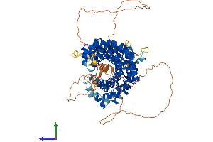 AlphaFold protein structure predicition of Mouse Recombinant Pkp1 Protein, UniprotID P97350
