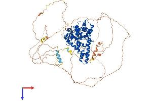 AlphaFold protein structure predicition of Mouse Recombinant Exo1 Protein, UniprotID Q9QZ11