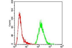 Flow cytometric analysis of MCF-7 cells using GNAS mouse mAb (green) and negative control (red).