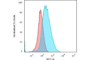 Flow Cytometric Analysis of PFA-fixed Jurkat cells using CD45 Mouse Monoclonal Antibody (2B11+PD7/26) followed by Goat anti- Mouse- IgG-CF488 (Blue); Isotype Control (Red).