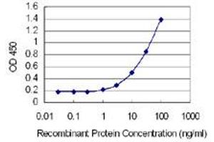 Detection limit for recombinant GST tagged HN1L is 0. (HN1L anticorps  (AA 1-190))