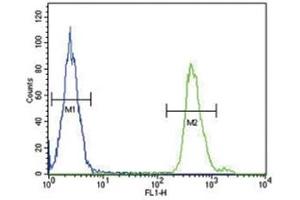 SMAD3 antibody flow cytometric analysis of MDA-MB231 cells (green) compared to a 