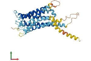 AlphaFold protein structure predicition of Mouse Recombinant Ptgdr Protein, UniprotID P70263