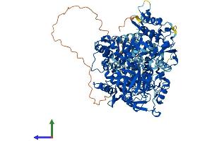AlphaFold protein structure predicition of Mouse Recombinant Ireb2 Protein, UniprotID Q811J3